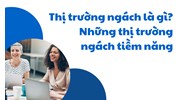 Thị trường ngách là gì? Những thị trường ngách tiềm năng