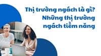 Thị trường ngách là gì? Những thị trường ngách tiềm năng