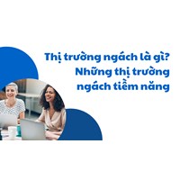 Thị trường ngách là gì? Những thị trường ngách tiềm năng