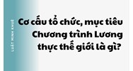 Cơ cấu tổ chức, mục tiêu Chương trình Lương thực thế giới là gì?