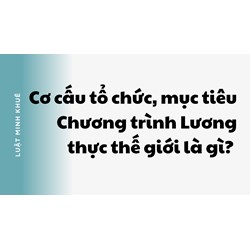 Cơ cấu tổ chức, mục tiêu Chương trình Lương thực thế giới là gì?