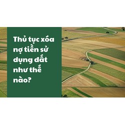 Thủ tục xóa nợ tiền sử dụng đất được như thế nào?