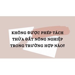 Không được phép tách thửa đất nông nghiệp trong trường hợp nào?