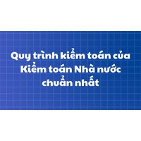 Quy trình kiểm toán của Kiểm toán Nhà nước chuẩn nhất