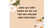 Làm lại giấy đăng ký xe (cà vẹt xe) online như thế nào?
