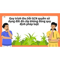 Quy trình thu hồi GCN quyền sử dụng đất đã cấp không đúng quy định pháp luật