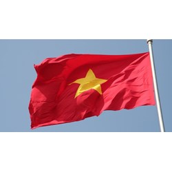 Đăng thông tin lên mạng xã hội xúc phạm Quốc kỳ, Quốc huy bị xử lý thế nào?
