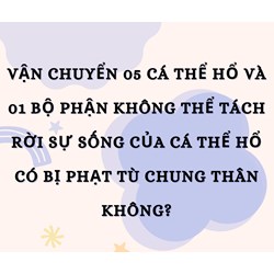 Vận chuyển 05 cá thể hổ và 01 bộ phận không thể tách rời sự sống của cá thể hổ có bị phạt tù chung thân không?