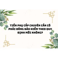 Tiền phụ cấp chuyên cần có phải đóng bảo hiểm theo quy định mới không?
