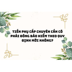Tiền phụ cấp chuyên cần có phải đóng bảo hiểm theo quy định mới không?