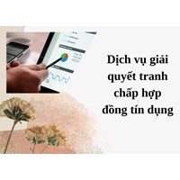 Dịch vụ giải quyết tranh chấp hợp đồng tín dụng