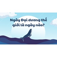 Ngày Đại dương thế giới hàng năm là ngày nào?