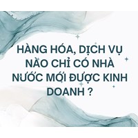 Hàng hóa, dịch vụ nào chỉ có Nhà nước mới được kinh doanh ?