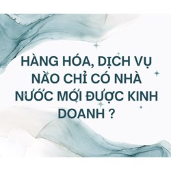 Hàng hóa, dịch vụ nào chỉ có Nhà nước mới được kinh doanh ?