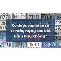 Có được cấp biển số xe máy ngay sau khi bấm hay không?