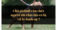 Chó pitbull cắn chết người thì chủ chó có bị xử lý hình sự ?