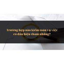 Trường hợp nào kiểm toán vụ việc có dấu hiệu tham nhũng?