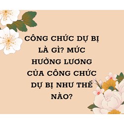 Công chức dự bị là gì? Mức lương của công chức dự bị như thế nào?