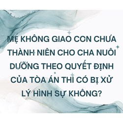 Mẹ không giao con chưa thành niên cho cha nuôi dưỡng theo quyết định của Tòa án thì có bị xử lý hình sự không?