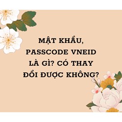 Mật khẩu, Passcode VNeID dùng để làm gì? Có đổi được hay không?