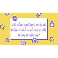 Có cần chính chủ phải đi bấm biển số xe mới hay không?