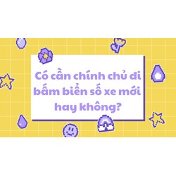 Có cần chính chủ phải đi bấm biển số xe mới hay không?