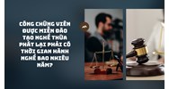 Công chứng viên được miễn đào tạo nghề Thừa phát lại phải có thời gian hành nghề bao nhiêu năm?