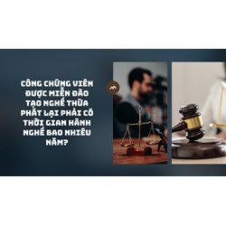 Công chứng viên được miễn đào tạo nghề Thừa phát lại phải có thời gian hành nghề bao nhiêu năm?