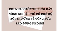 Nhà nước thu hồi đất nông nghiệp có bồi thường công sức lao động?