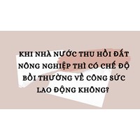Nhà nước thu hồi đất nông nghiệp có bồi thường công sức lao động?