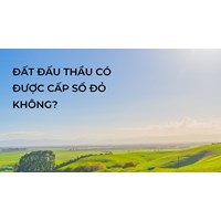 Đất đấu thầu hiện nay có được cấp sổ đỏ hay không?