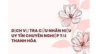 Dịch vụ tra cứu nhãn hiệu uy tín chuyên nghiệp tại Thanh Hóa
