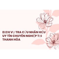 Dịch vụ tra cứu nhãn hiệu uy tín chuyên nghiệp tại Thanh Hóa