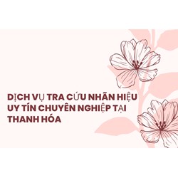 Dịch vụ tra cứu nhãn hiệu uy tín chuyên nghiệp tại Thanh Hóa