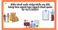 Biểu thuế xuất nhập khẩu ưu đãi, hàng hóa ngoài hạn ngạch thuế quan