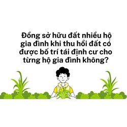 Đồng sở hữu đất nhiều hộ gia đình khi thu hồi đất có được tái định cư?