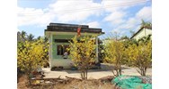 Nhà để thờ cúng có được chuyển nhượng để trả nợ không?