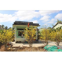 Nhà để thờ cúng có được chuyển nhượng để trả nợ không?