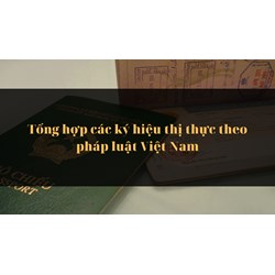 Tổng hợp các ký hiệu thị thực theo pháp luật Việt Nam