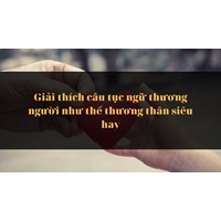 Giải thích câu tục ngữ thương người như thể thương thân siêu hay