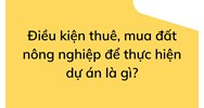 Điều kiện thuê, mua đất nông nghiệp để thực hiện dự án là gì?