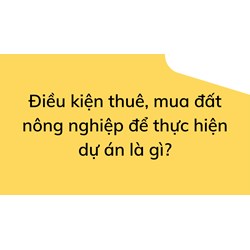 Điều kiện thuê, mua đất nông nghiệp để thực hiện dự án là gì?