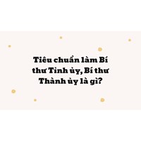 Tiêu chuẩn làm Bí thư Tỉnh ủy, Bí thư Thành ủy là gì?