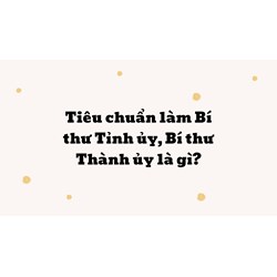 Tiêu chuẩn làm Bí thư Tỉnh ủy, Bí thư Thành ủy là gì?