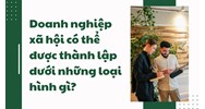 Doanh nghiệp xã hội có thể được thành lập dưới những loại hình gì?