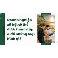 Doanh nghiệp xã hội có thể được thành lập dưới những loại hình gì?