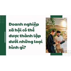 Doanh nghiệp xã hội có thể được thành lập dưới những loại hình gì?