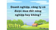 Doanh nghiệp, công ty có được mua đất nông nghiệp hay không?