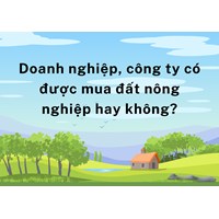 Doanh nghiệp, công ty có được mua đất nông nghiệp hay không?