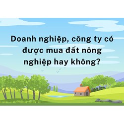 Doanh nghiệp, công ty có được mua đất nông nghiệp hay không?